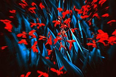 《胜利女神》与《生化危机》联动视频 吉尔英姿飒爽